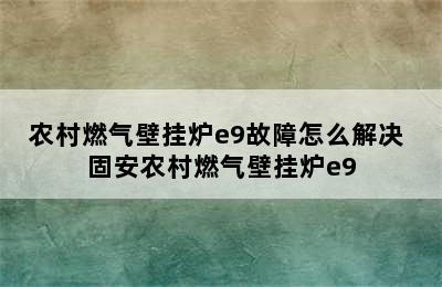 农村燃气壁挂炉e9故障怎么解决 固安农村燃气壁挂炉e9